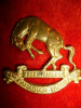 C61 - 14th Canadian Hussars Cap Badge